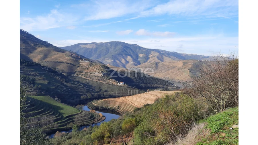 Terreno para Venda em Barcos e Santa Leocádia Foto 2