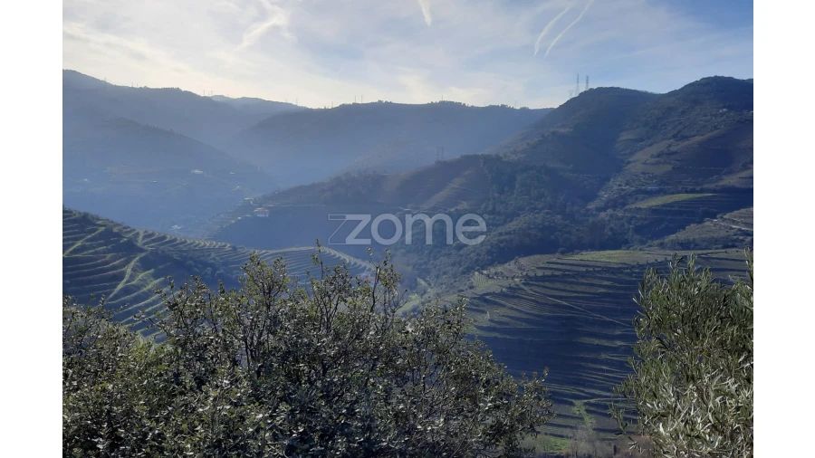 Terreno para Venda em Barcos e Santa Leocádia Foto 23