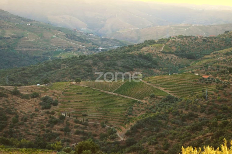Terreno para Venda em Barcos e Santa Leocádia Foto 41