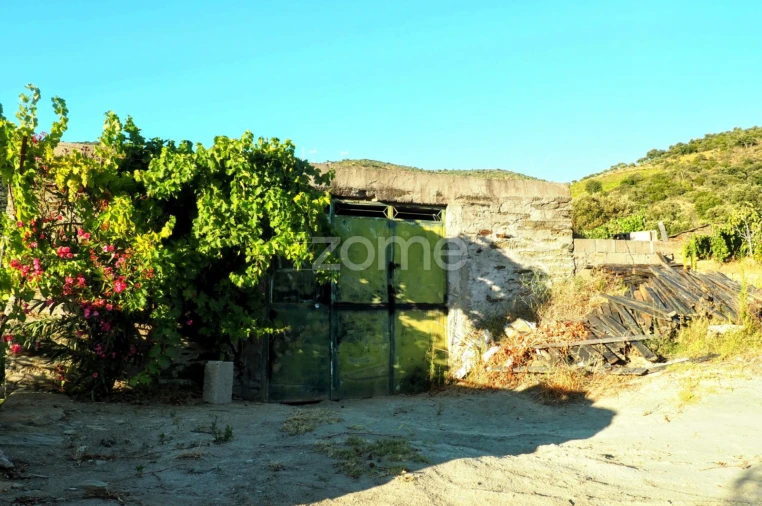 Terreno para Venda em Barcos e Santa Leocádia Foto 8