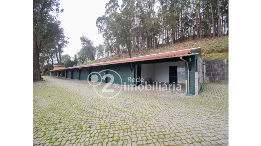 Quinta T12 para Venda em O. Azeméis, Riba-Ul, Ul, Macinhata Seixa, Madail Foto 25