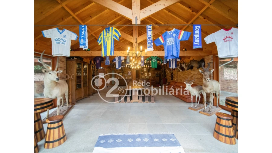 Quinta T12 para Venda em O. Azeméis, Riba-Ul, Ul, Macinhata Seixa, Madail Foto 26