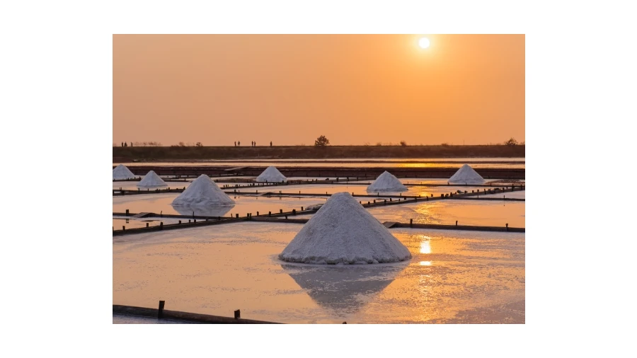 Moradia T4 para Venda em Esgueira Foto 11