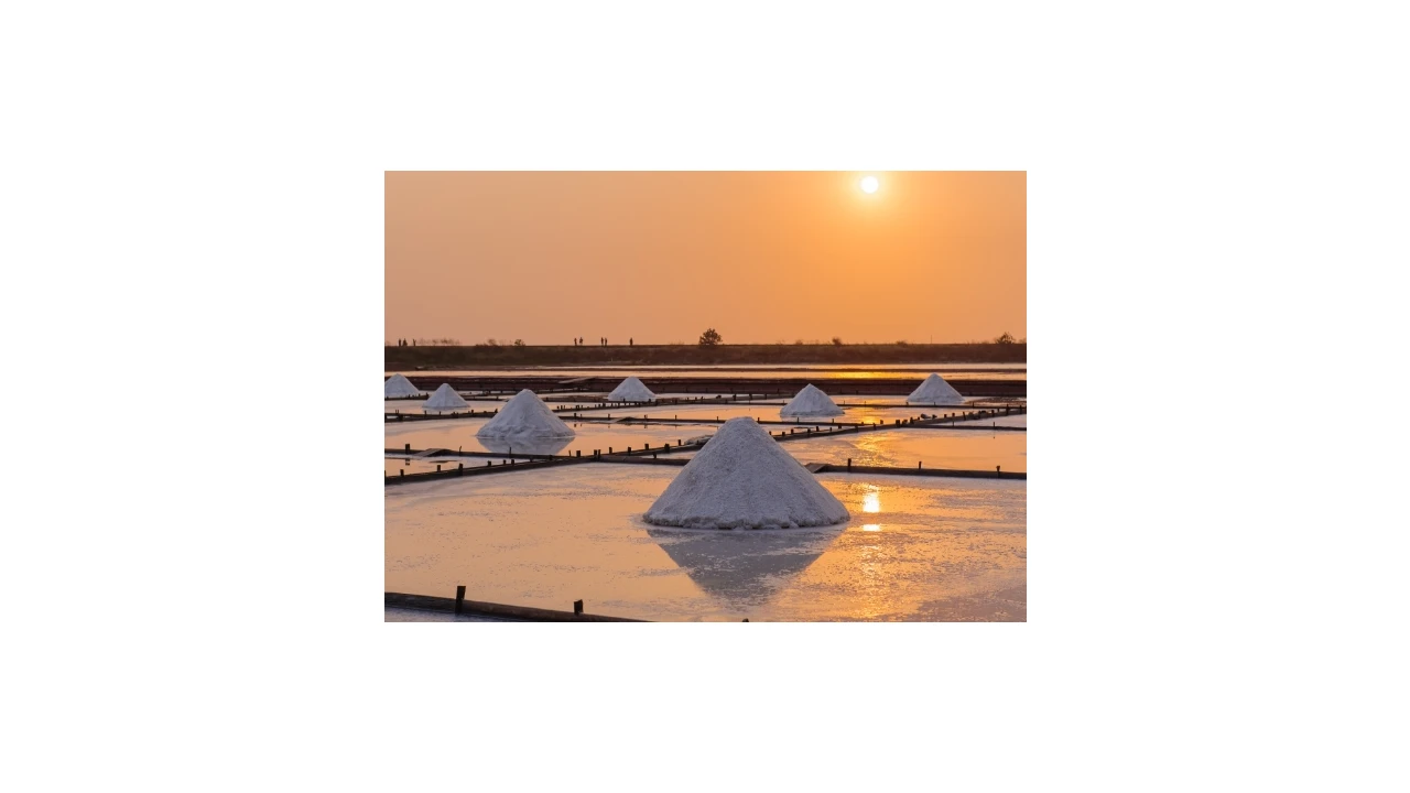 Moradia T4 para Venda em Esgueira Foto 11