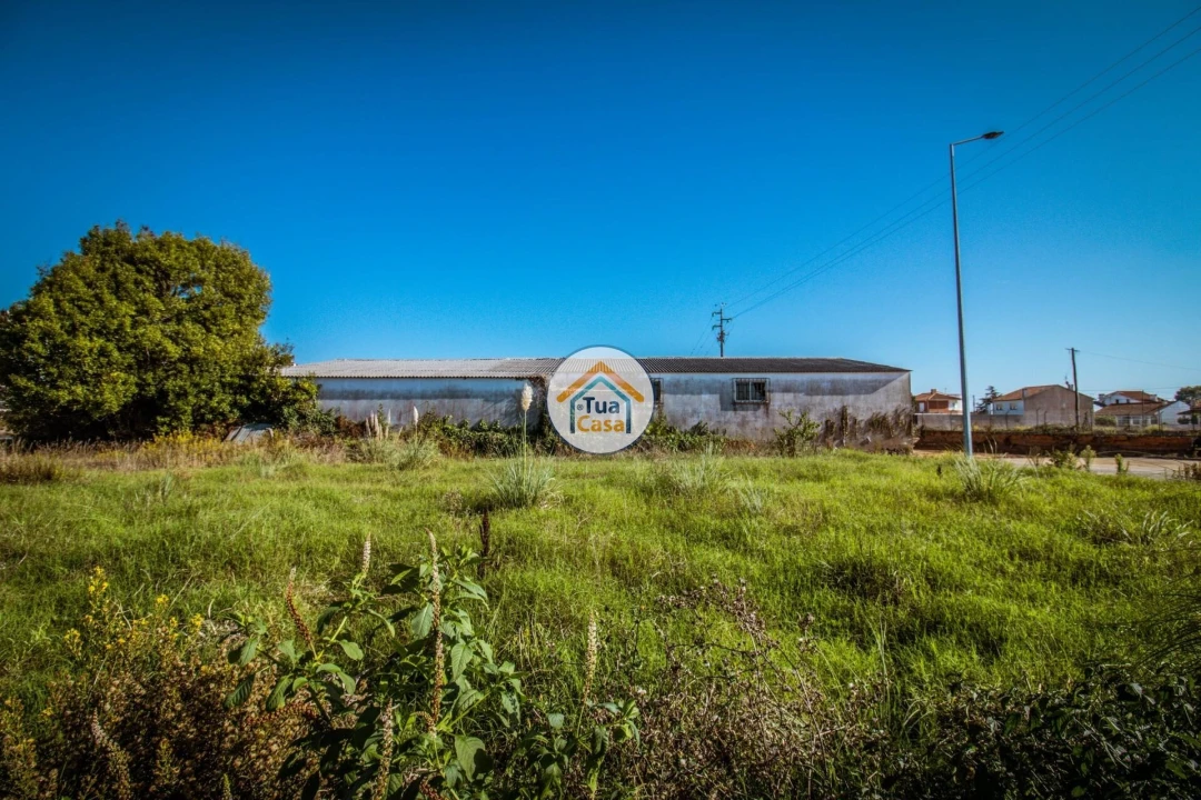 Terreno para Venda em São Bernardo Foto 12