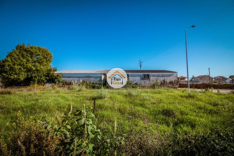 Terreno para Venda em São Bernardo Foto 12