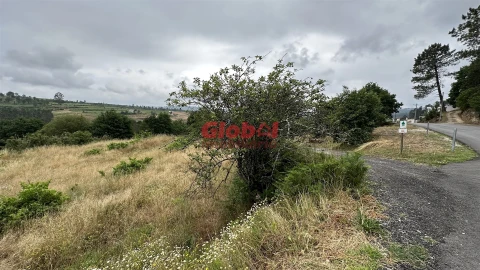 Terreno para Venda em Santos Evos