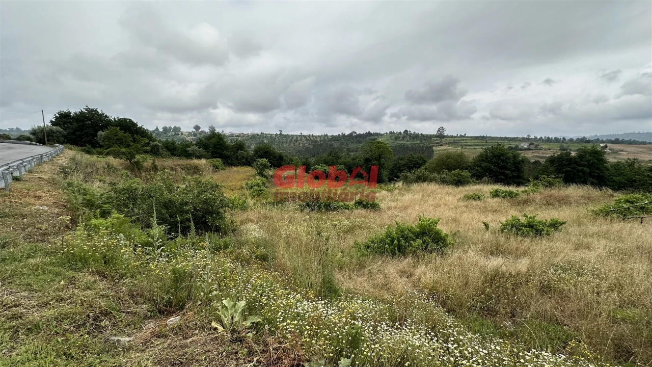 Terreno para Venda em Santos Evos Foto 2