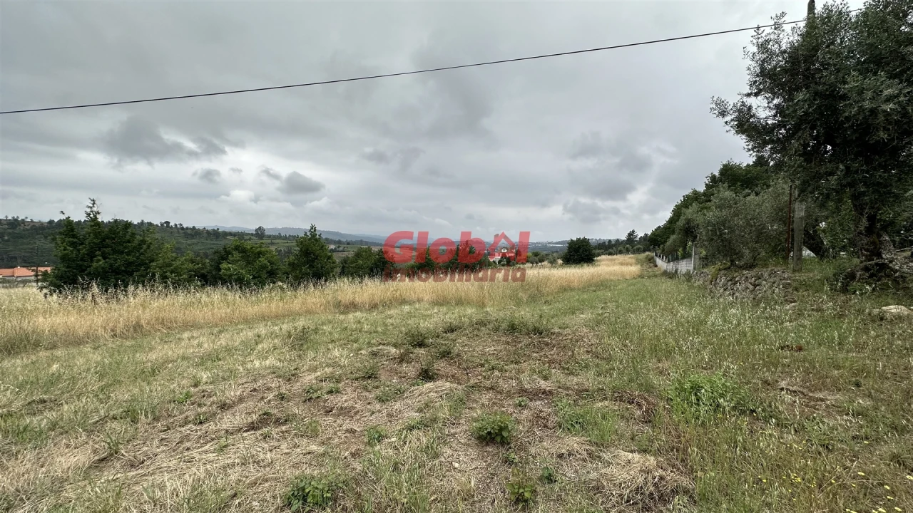 Terreno para Venda em Santos Evos Foto 5