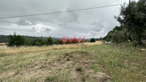 Terreno para Venda em Santos Evos