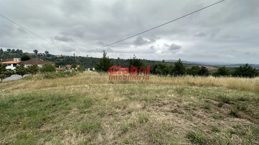 Terreno para Venda em Santos Evos Foto 6