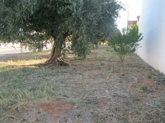 Terreno para Venda em São João Baptista Foto 1