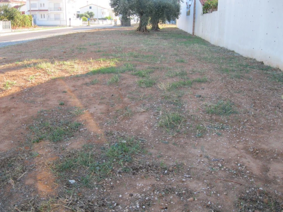 Terreno para Venda em São João Baptista Foto 1