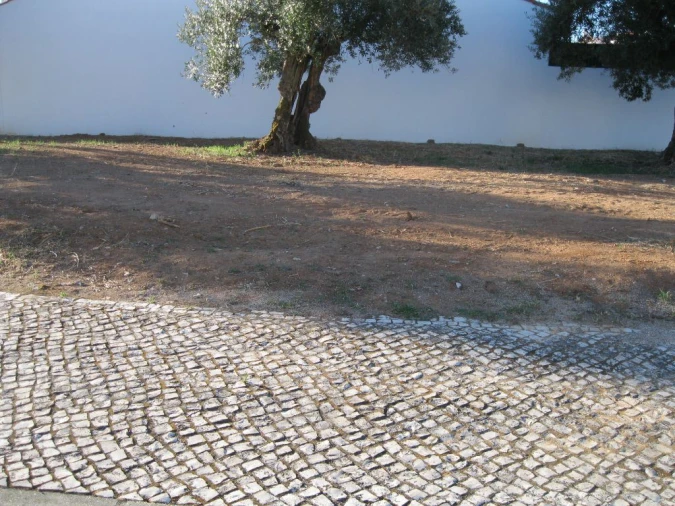 Terreno para Venda em São João Baptista Foto 1