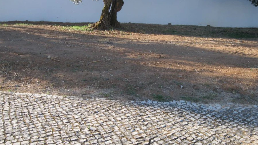 Terreno para Venda em São João Baptista