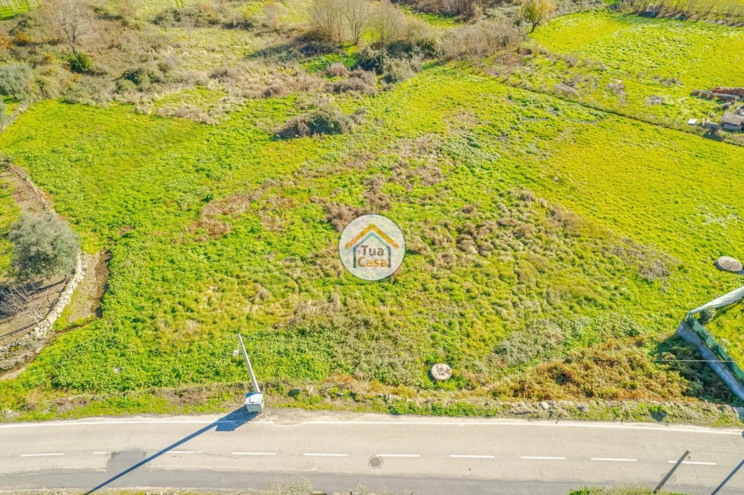Terreno para Venda em Cavernães Foto 9