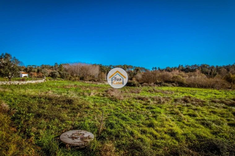 Terreno para Venda em Cavernães Foto 8