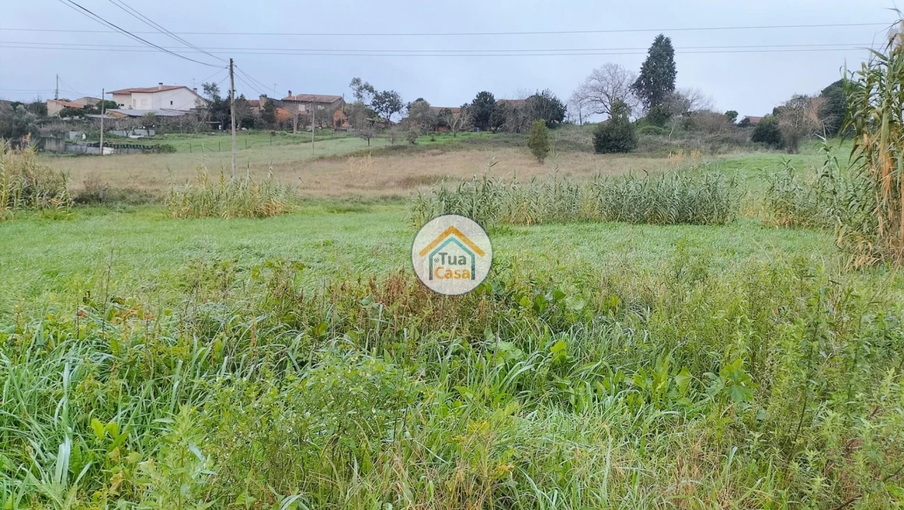 Terreno para Venda em Tamengos, Aguim e Óis do Bairro Foto 5