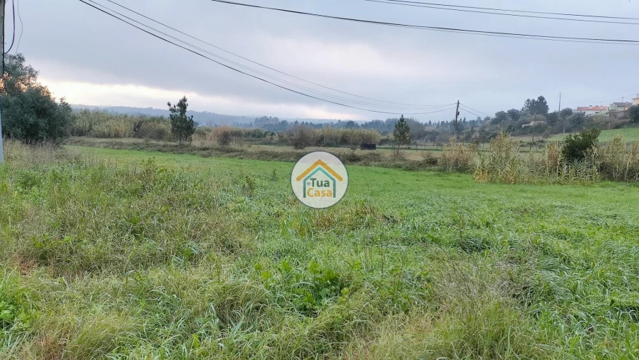 Terreno para Venda em Tamengos, Aguim e Óis do Bairro