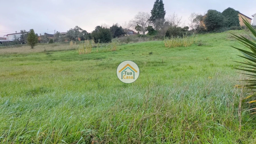 Terreno para Venda em Tamengos, Aguim e Óis do Bairro Foto 10
