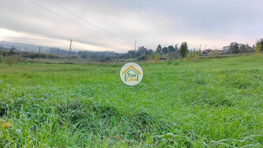 Terreno para Venda em Tamengos, Aguim e Óis do Bairro Foto 12