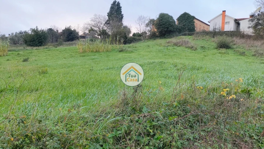 Terreno para Venda em Tamengos, Aguim e Óis do Bairro Foto 11