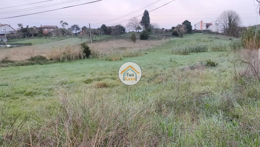 Terreno para Venda em Tamengos, Aguim e Óis do Bairro Foto 9
