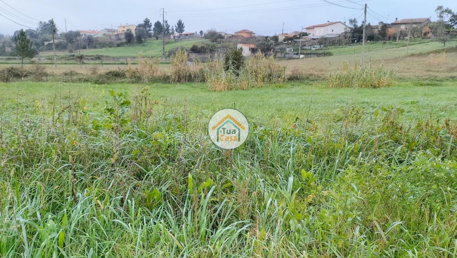 Terreno para Venda em Tamengos, Aguim e Óis do Bairro Foto 3
