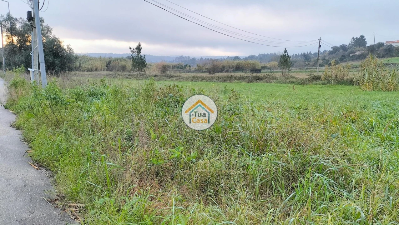 Terreno para Venda em Tamengos, Aguim e Óis do Bairro Foto 2