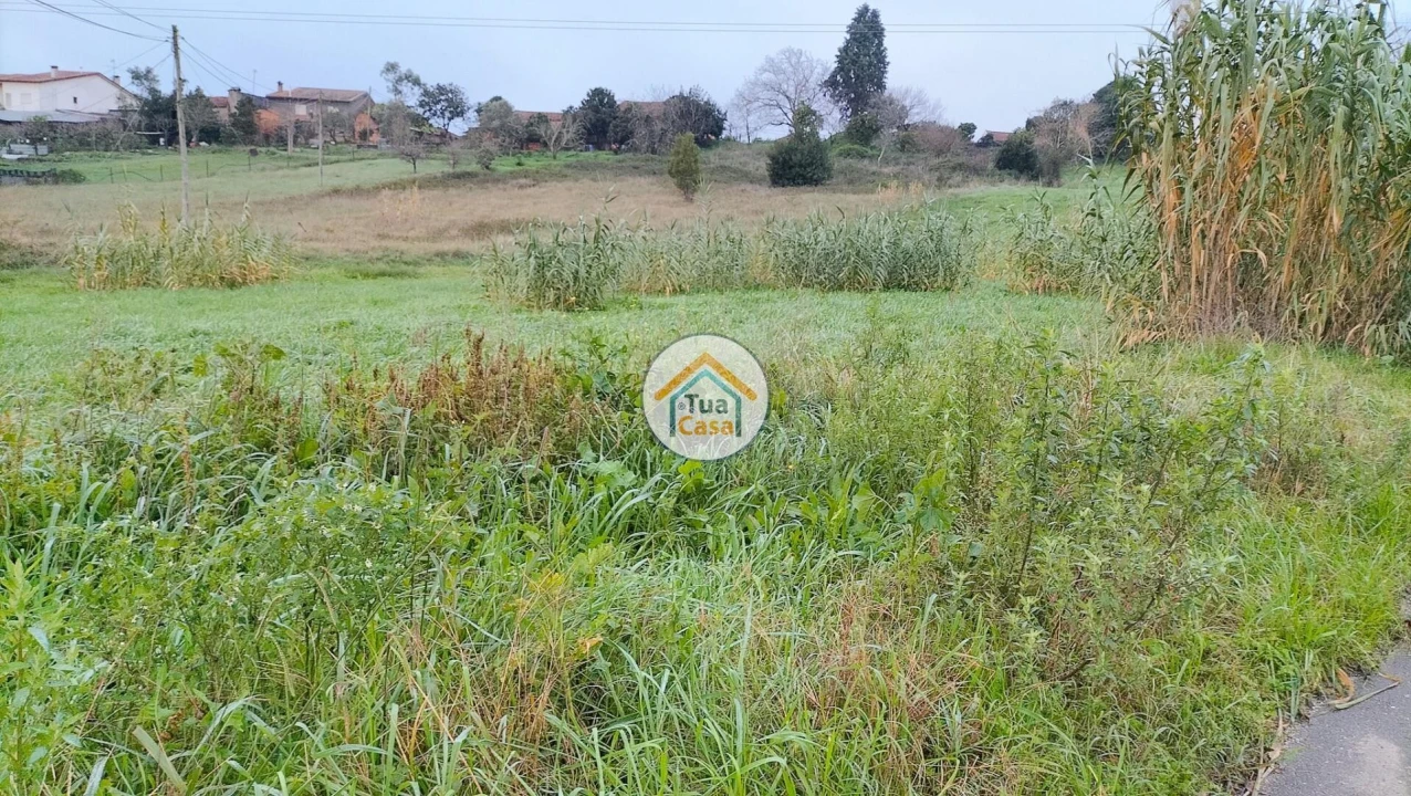 Terreno para Venda em Tamengos, Aguim e Óis do Bairro Foto 4