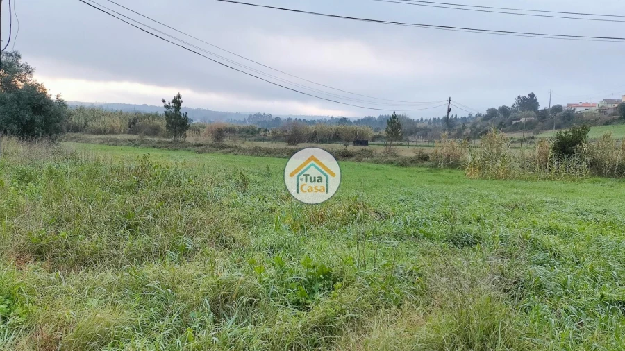 Terreno para Venda em Tamengos, Aguim e Óis do Bairro