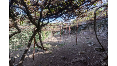 Moradia T3 para Venda em Estreito da Calheta