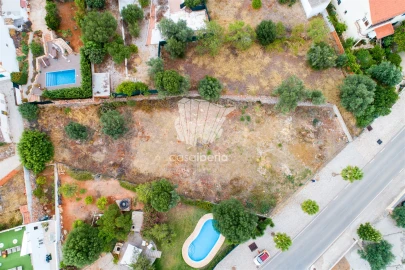 Terreno para Venda em Querença, Tôr e Benafim
