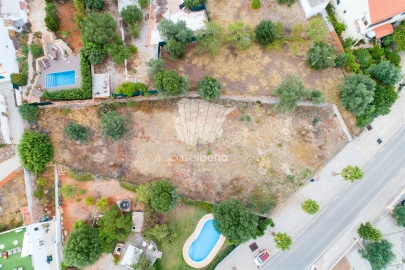 Terreno para Venda em Querença, Tôr e Benafim