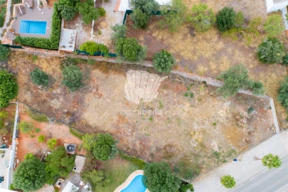Terreno para Venda em Querença, Tôr e Benafim