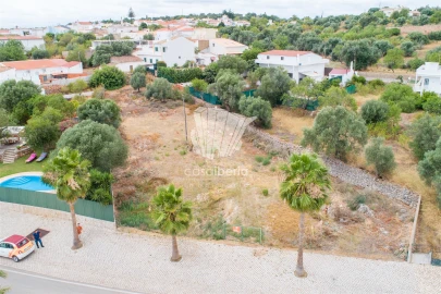 Terreno para Venda em Querença, Tôr e Benafim