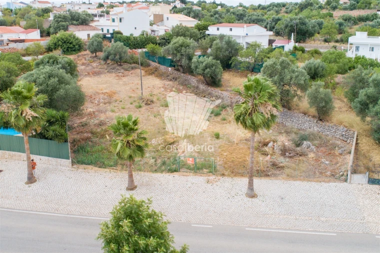 Terreno para Venda em Querença, Tôr e Benafim Foto 14