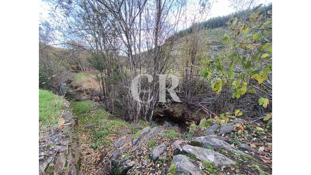 Moradia T2 para Venda em Oleiros-Amieira Foto 47