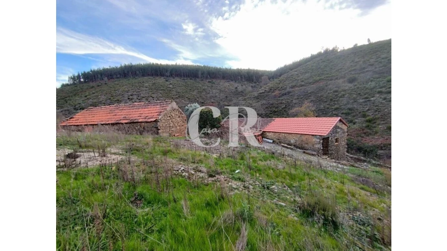 Moradia T2 para Venda em Oleiros-Amieira Foto 34