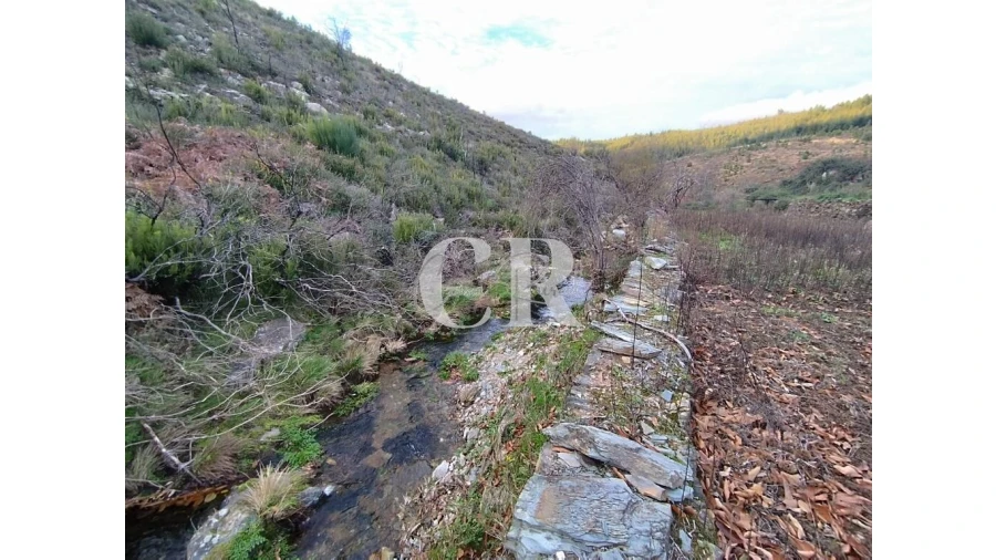 Moradia T2 para Venda em Oleiros-Amieira Foto 60