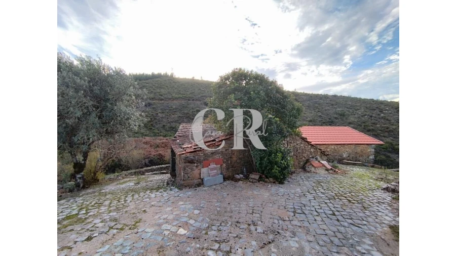 Moradia T2 para Venda em Oleiros-Amieira Foto 2