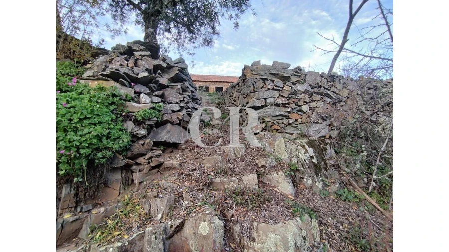 Moradia T2 para Venda em Oleiros-Amieira Foto 45