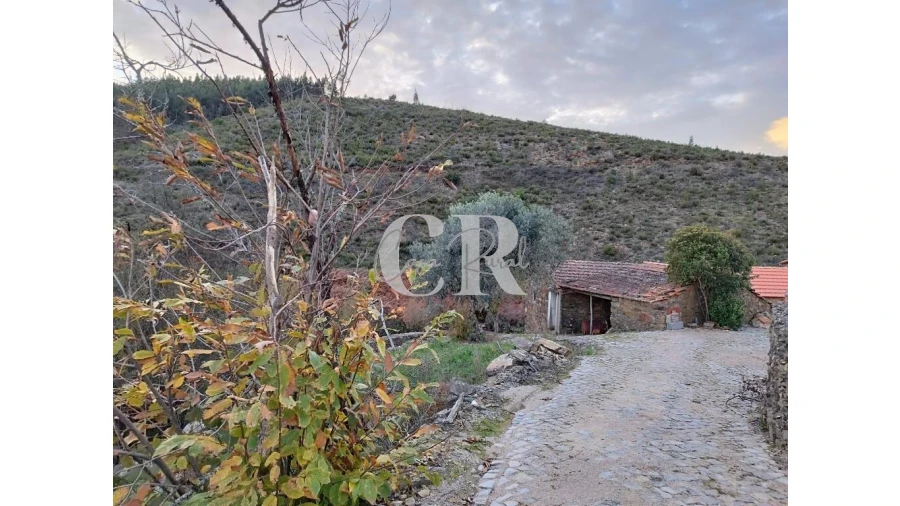 Moradia T2 para Venda em Oleiros-Amieira Foto 4