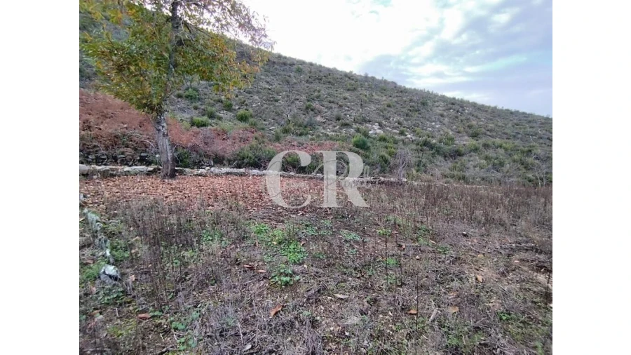 Moradia T2 para Venda em Oleiros-Amieira Foto 35