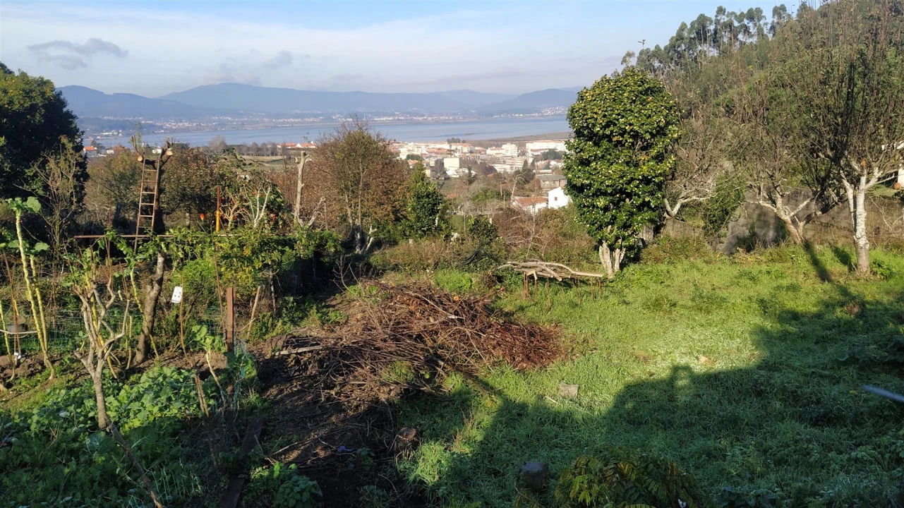 Terreno para Venda em Caminha (Matriz) e Vilarelho Foto 15