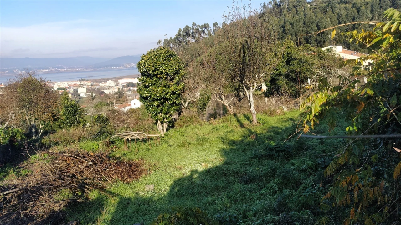 Terreno para Venda em Caminha (Matriz) e Vilarelho Foto 16