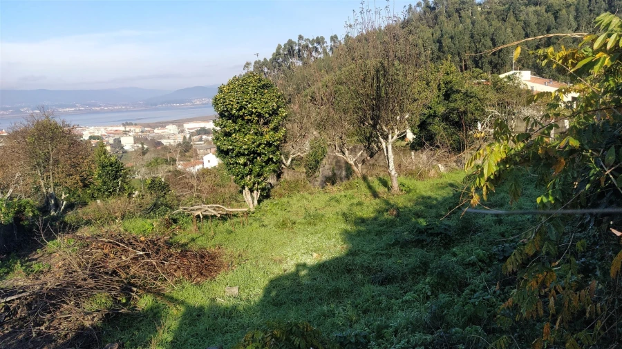 Terreno para Venda em Caminha (Matriz) e Vilarelho Foto 16