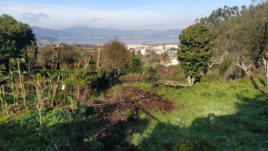 Terreno para Venda em Caminha (Matriz) e Vilarelho Foto 17