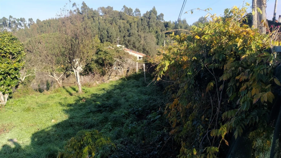 Terreno para Venda em Caminha (Matriz) e Vilarelho Foto 18