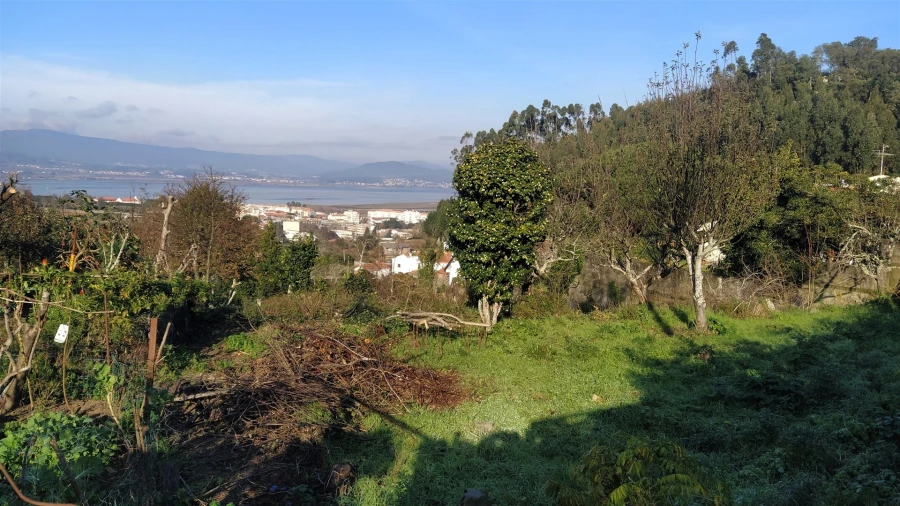 Terreno para Venda em Caminha (Matriz) e Vilarelho